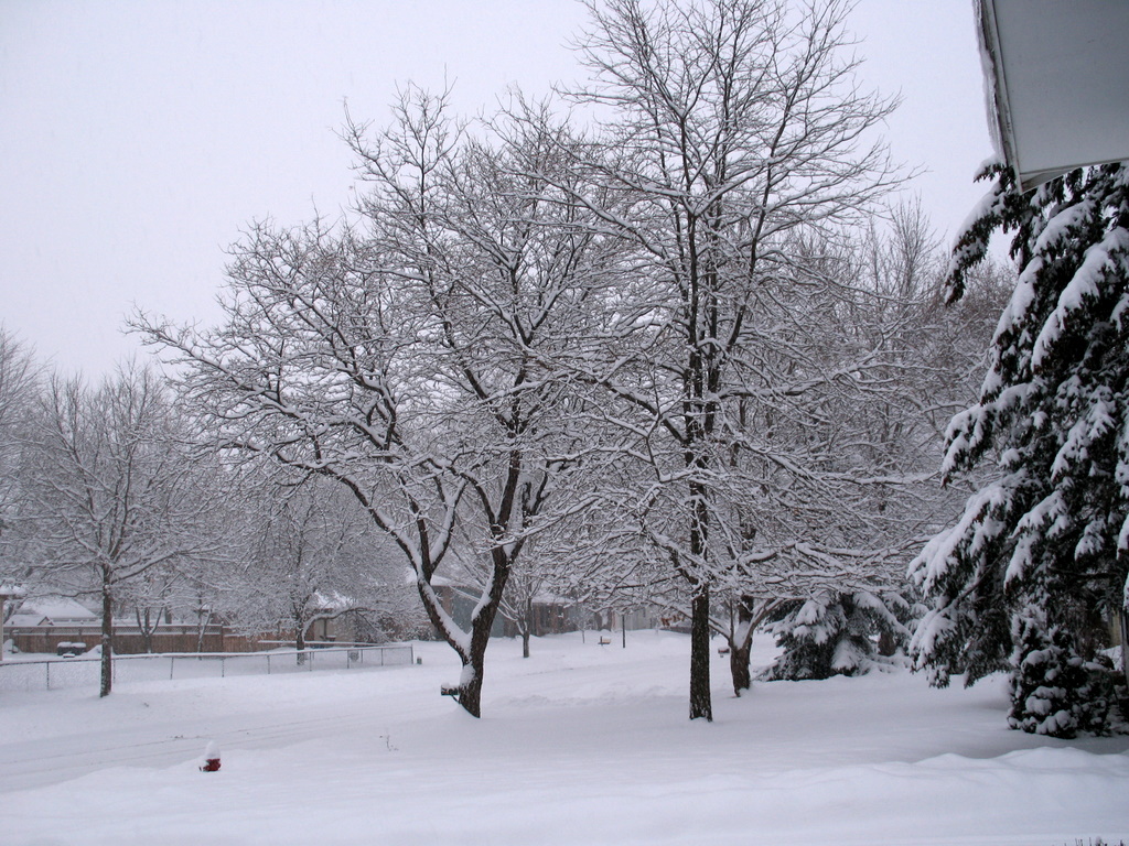 Editorial Report: Fake SNOW DAYs?! | Leavitt Buzz
